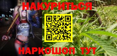 jwh Будённовск