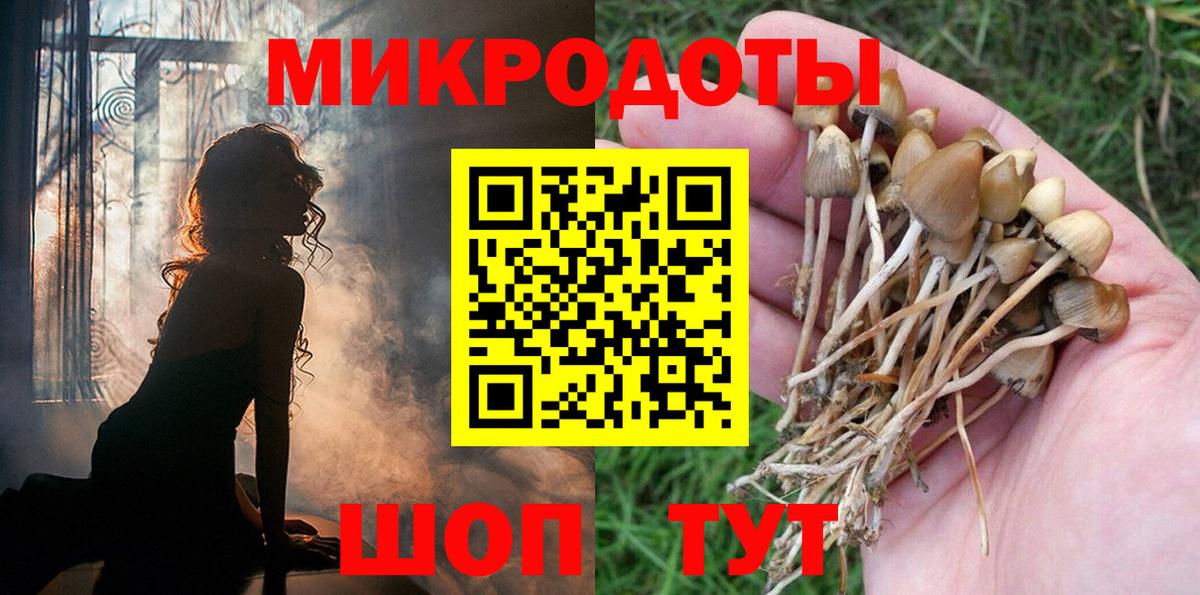 Псилоцибиновые грибы Psilocybine cubensis  Вход с VPN  Петропавловск-Камчатский  Псилоцибиновые грибы Psilocybe 